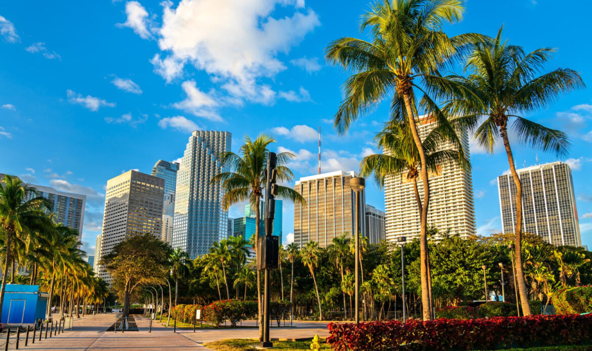 Cabinet Systems in Miami